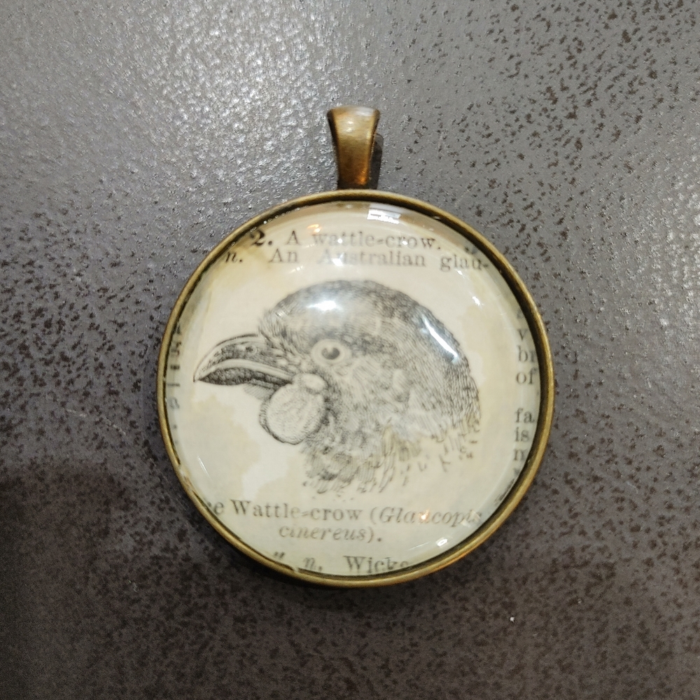 Necklace Chain Pendant Neutral Jewelry Australian Bird Natural